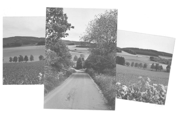 workshop art_landscape.png workshop art_landscape.png